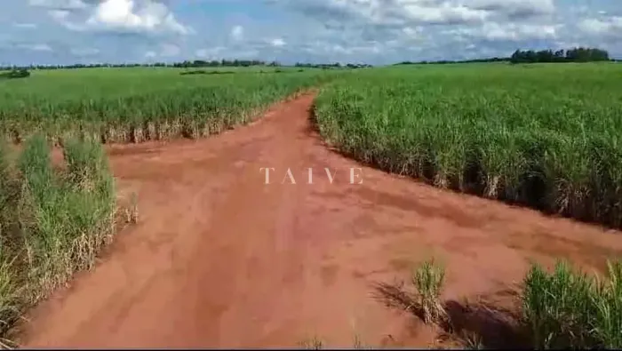 Fazenda à venda, 224 alqueires, 208 alqueires em plantação de cana inclusive arrendada na
