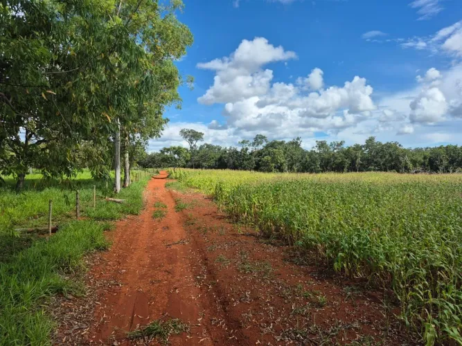 Fazenda 20 ha plana Curvelo: solo de cultura, poço artesiano e renda ativa de usina solar