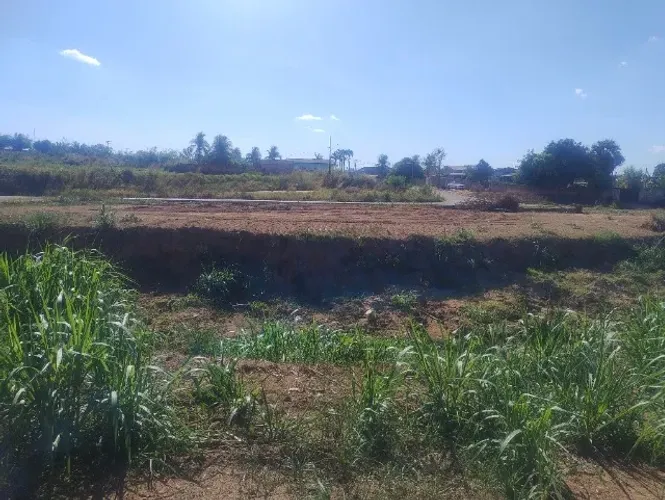 220m²