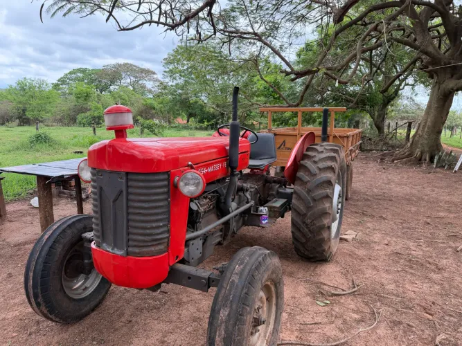 Massey ferguson 65