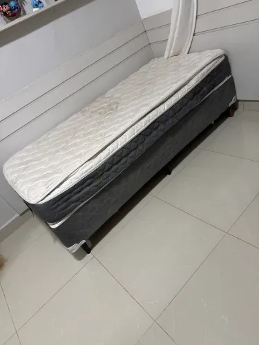 Conjunto box solteiro - castor - silver star