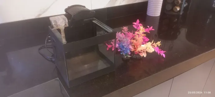 Aquário completo