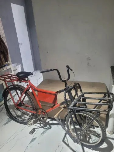Bike cargueira