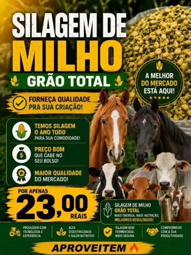 SILAGEM GRÃO TOTAL