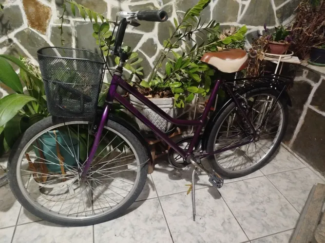 Bicicleta Aro 29