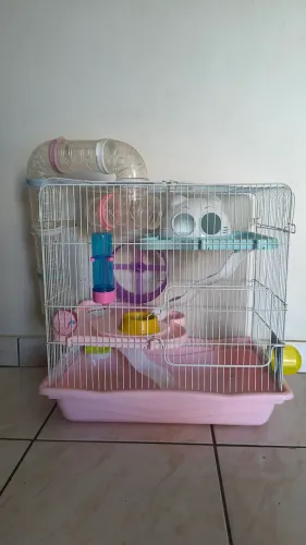 Gaiola hamster completa /seminova