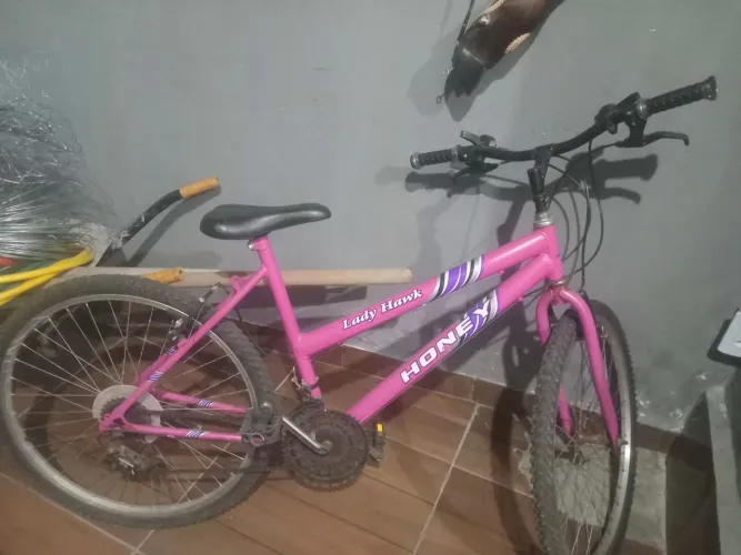 Bicicleta feminina