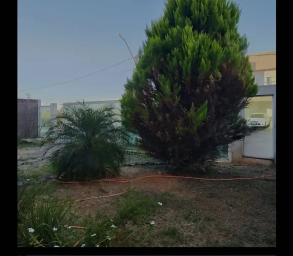 Casa 4 quartos Sobradinho Alto da Boa Bista