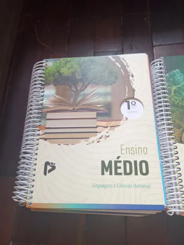 Livro ProRaiz 1°ano 