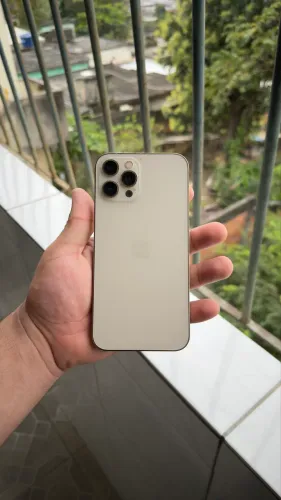 iPhone 12 Pro Max (muito novo)