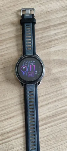 Garmin 165