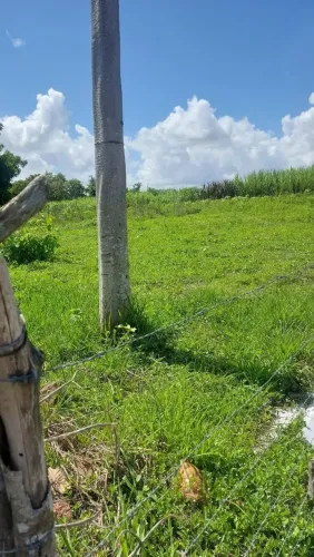 Terreno em timbauba próximo a pista 20x32