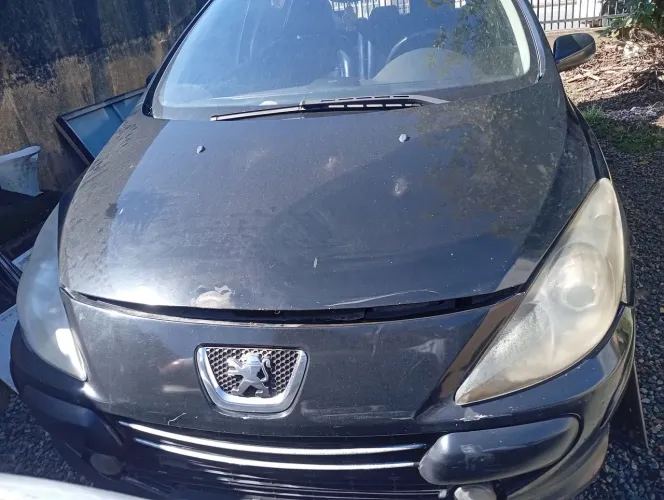 Peugeot 307 Feline/griff/premi. 2.0 Flex 5P Aut. 2007