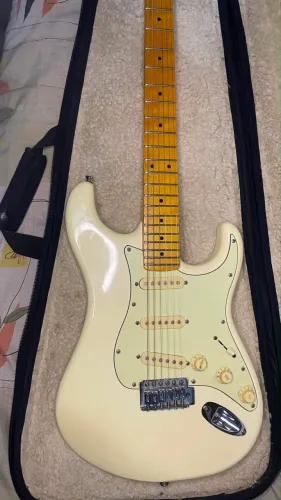 Guitarra Tagima woodstock TG 530