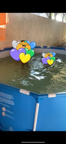 Vendo piscina 5.100 L sem marcas de uso em perfeito estado. Usado poucas vezes.