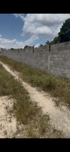 Vendo área de terra frente toda murada