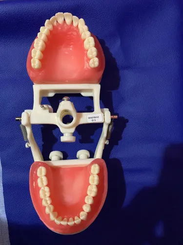 MANEQUIM ODONTOLÓGICO