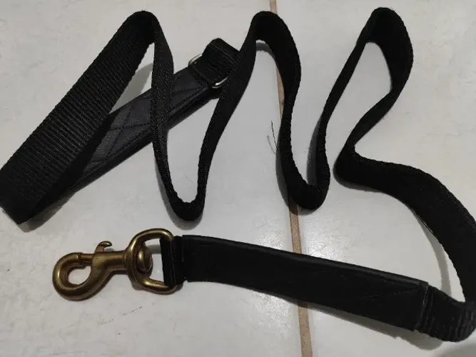 Guia em polipropileno para cães 
