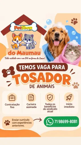 Vaga para tosador (a)