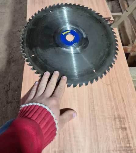 Disco irwin 350mm