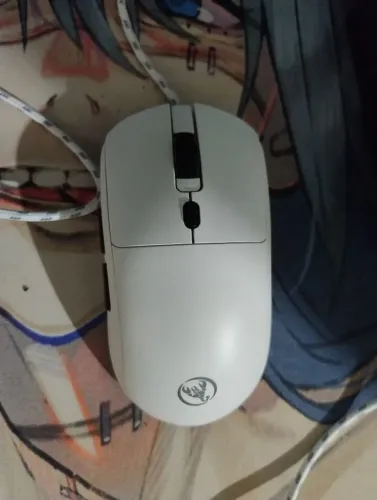 mouse gamer