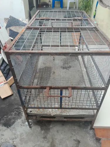 Gaiola pra Coelho e galinha 