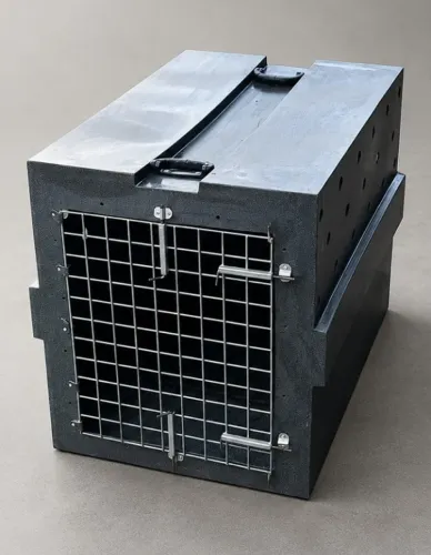 Caixa Transporte Pet No7 Grande