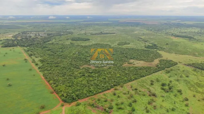 Fazenda com 1 Quarto à Venda, Setor Central - Pium