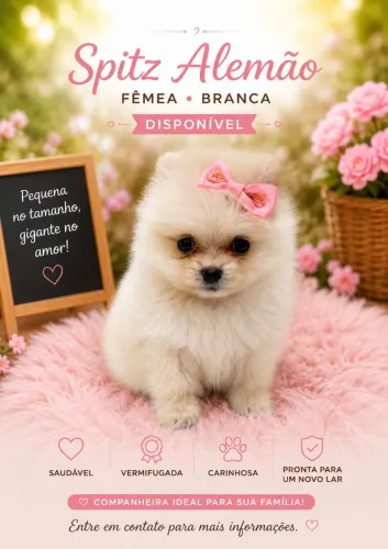 Fêmea disponível