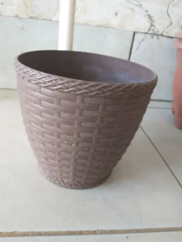 Vasos de planta