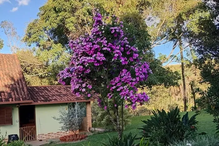 Chácara Espetacular à Venda em Mário Campos, MG