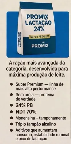 Ração lactação 24% leite bovinos completa