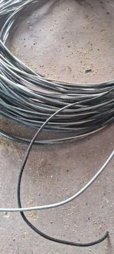 Cabo triplex