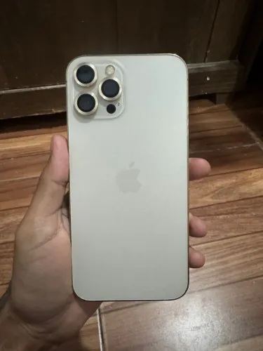 iPhone 12 Pro Max 