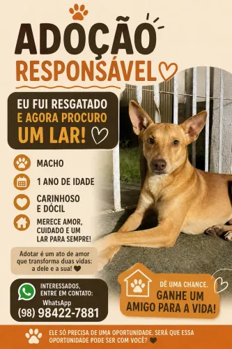 Adoção responsável