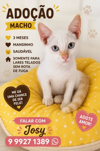 FLOQUINHO