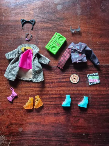 Lote de roupas wild hearts crew barbie 