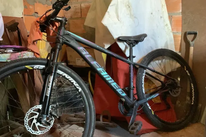 Bike Alfameq aro 29 quadro 15