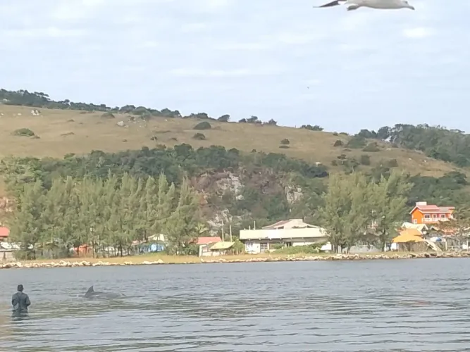 Auxiliar de cozinha 