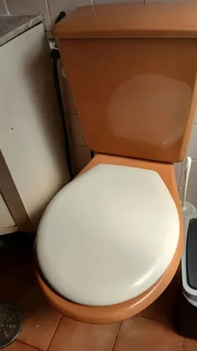 Vaso sanitário