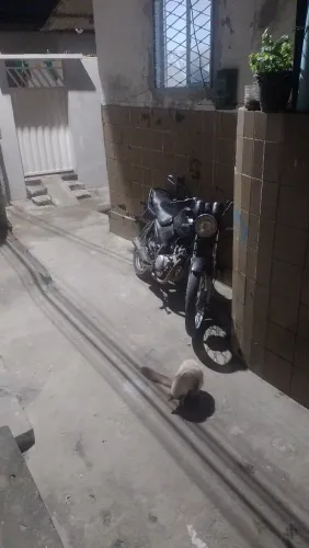 Yamaha factor 125 2009