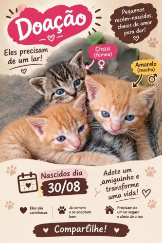 Gatinhos para doação