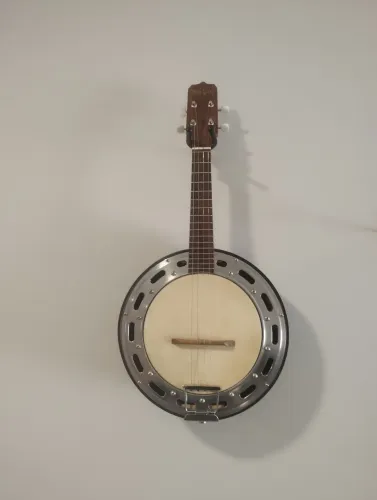 Banjo rozini