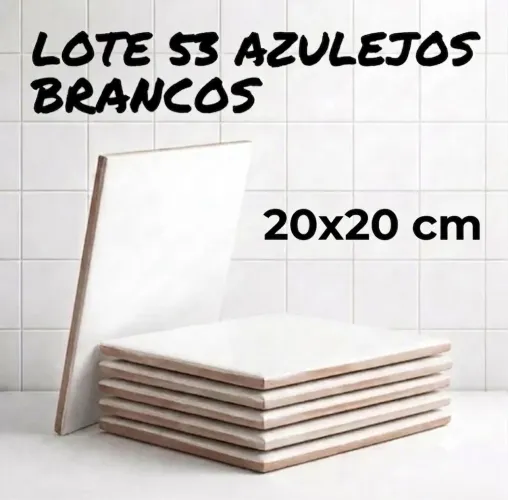 Lote 53 Azulejos Brancos Foscos 20x20 cm