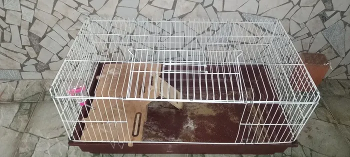 Gaiola para coelho com casinha