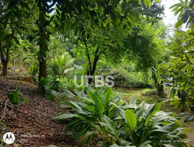 Chácara à venda no Novo Mundo com 5.314 m² Goiânia