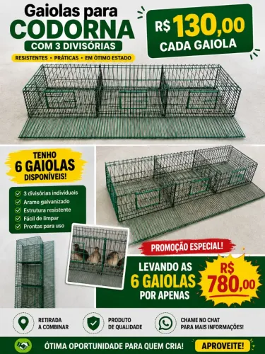 Gaiola para codorna c/3 divisórias sem acessórios