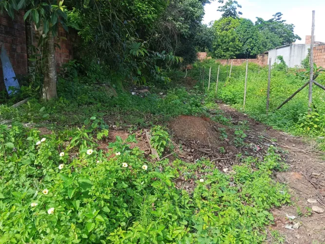 Vendo Terreno no Parque dos Faróis interessados chamar no whatsapp ou ligar *
