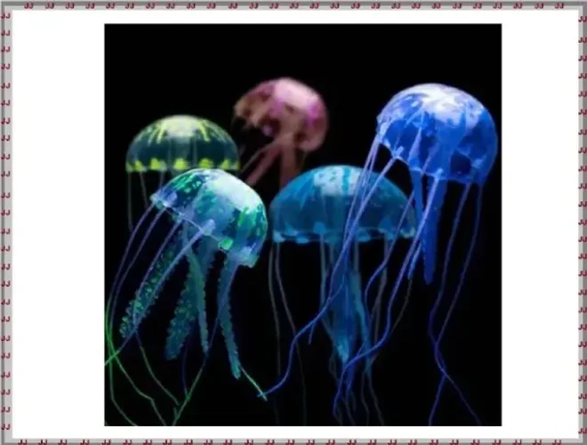 Água viva fluorescente com 15 cm x 5 cm em cores vibrantes 