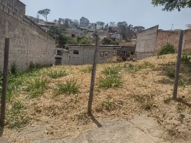 Excelente Lote Pérola Negra Santa Luzia